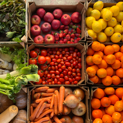 Nutrizione e benessere