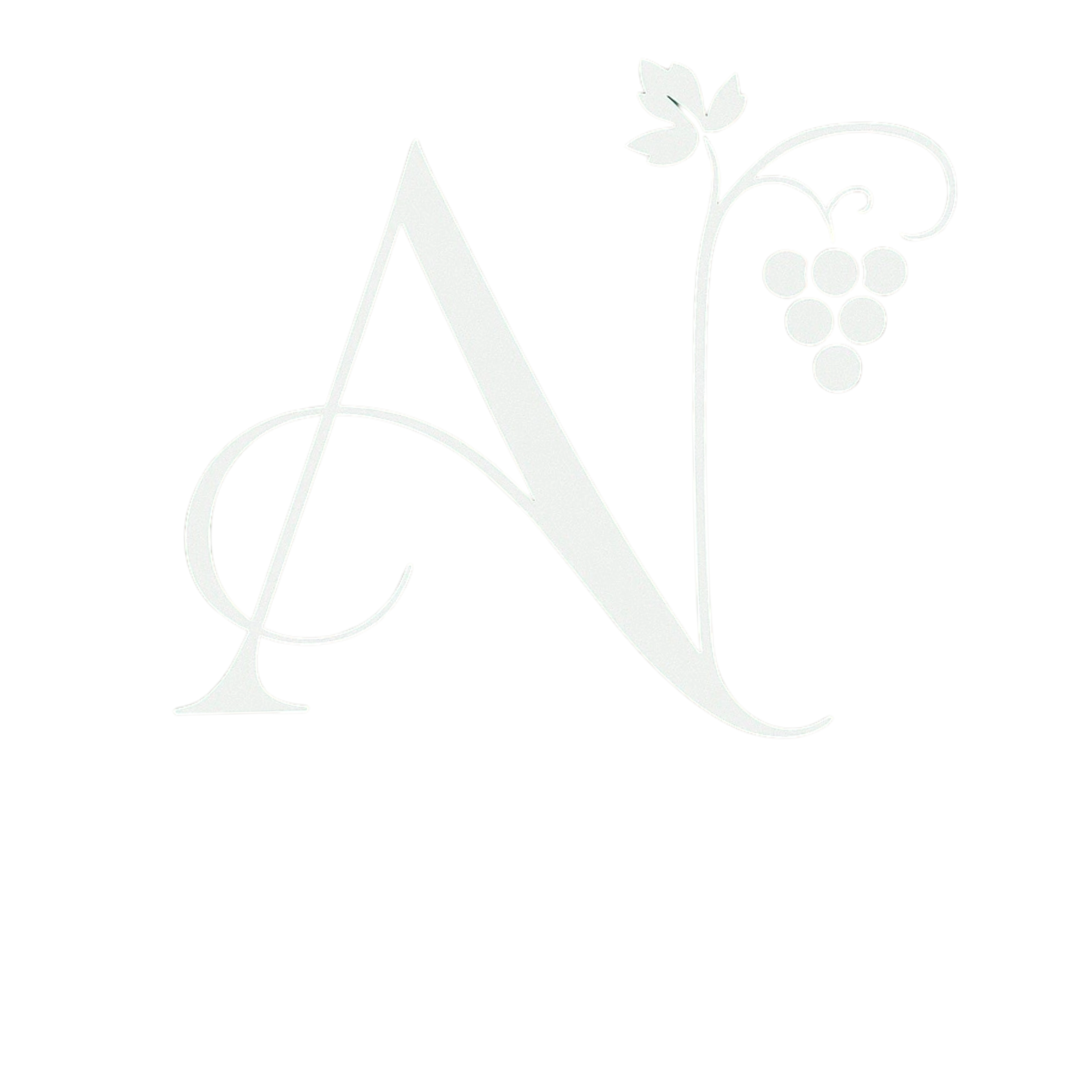 Dott. Alberto Niccolai, Dietista Nutrizionista